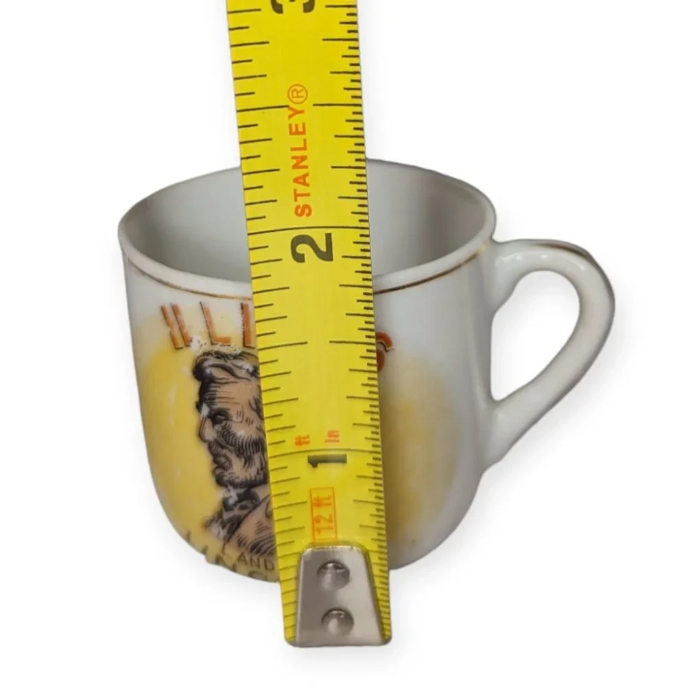 Vintage Ceramic Illinois Souvenir Miniature Mug & Plate